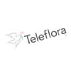 Fleuriste Teleflora Calumet