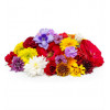 Fleurs assorties