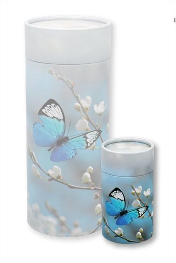 Fleur de Papillon (Urne Mini)