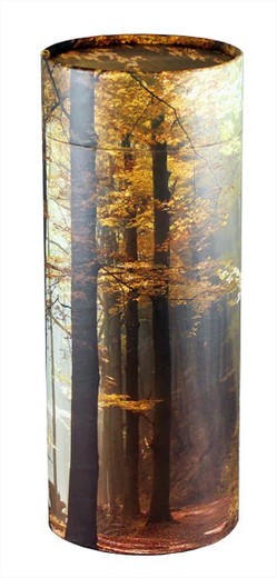 Autumn Woods (Adult Scattering Tube)
