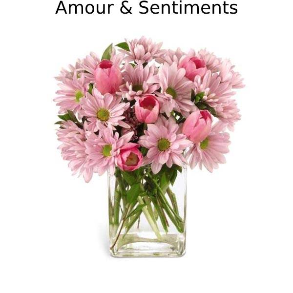 Amour et Sentiments
