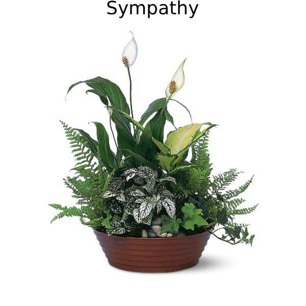 Sympathy