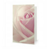 Cartes de Souhaits