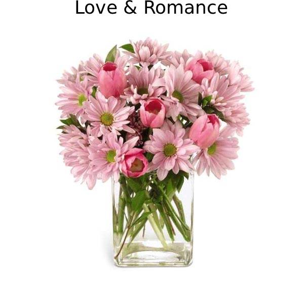 Love and Romance