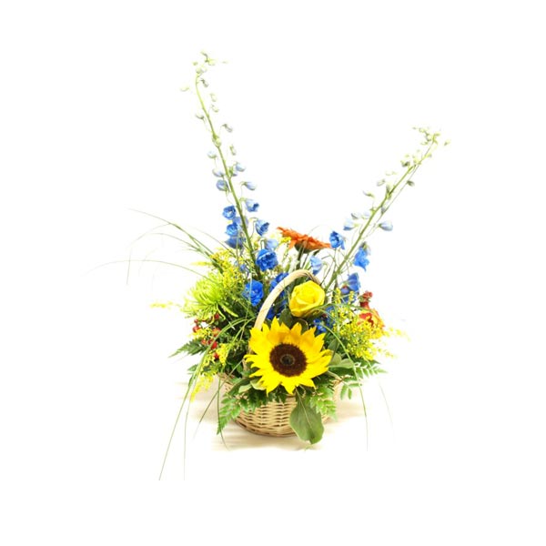 The soaring colors arrangement