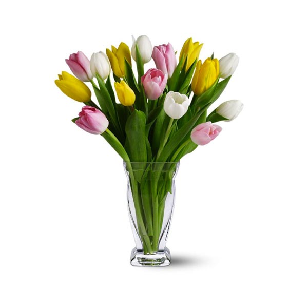 Fifteen Mixed Tulips