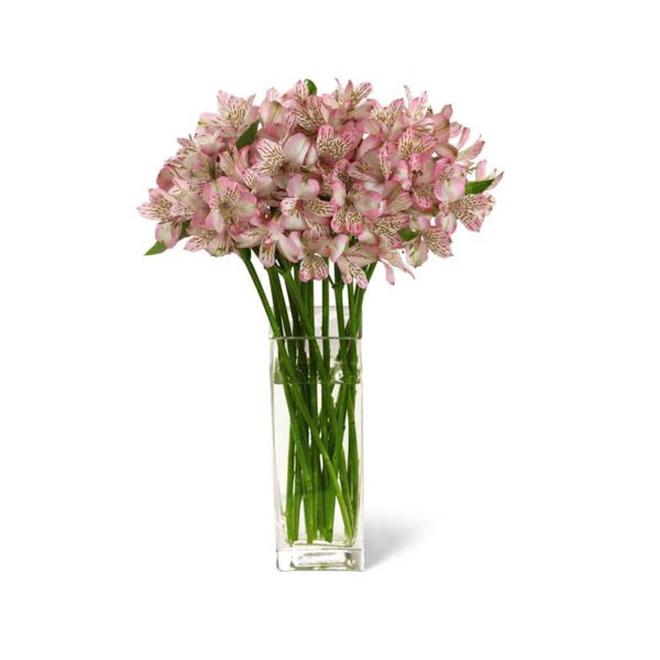 The Pure Bliss Bouquet