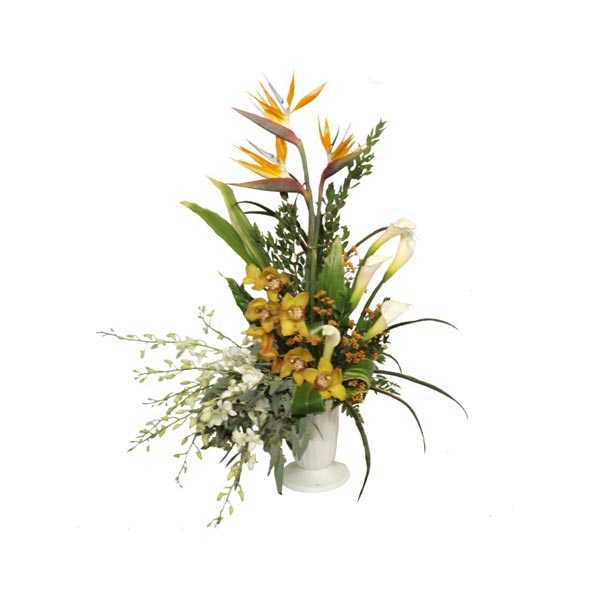 Arrangement Tropical gentleness