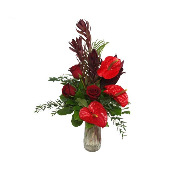 The tropics arrangement for Christmas