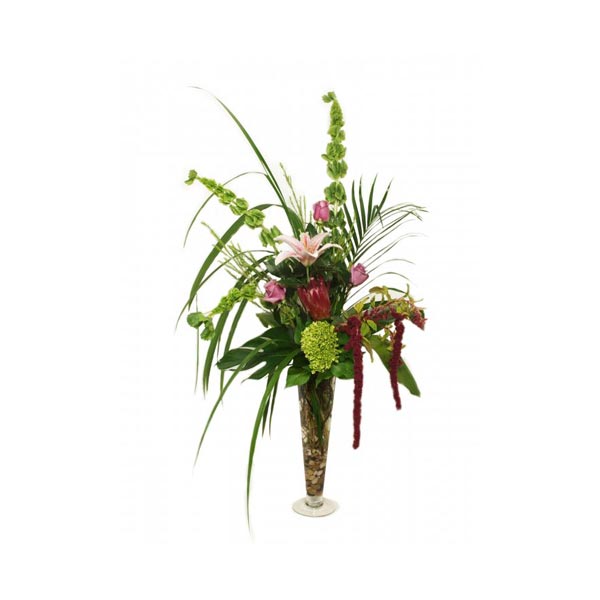 The arrangement of the tropics