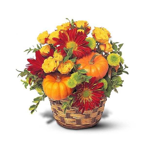 Small Mounded Basket