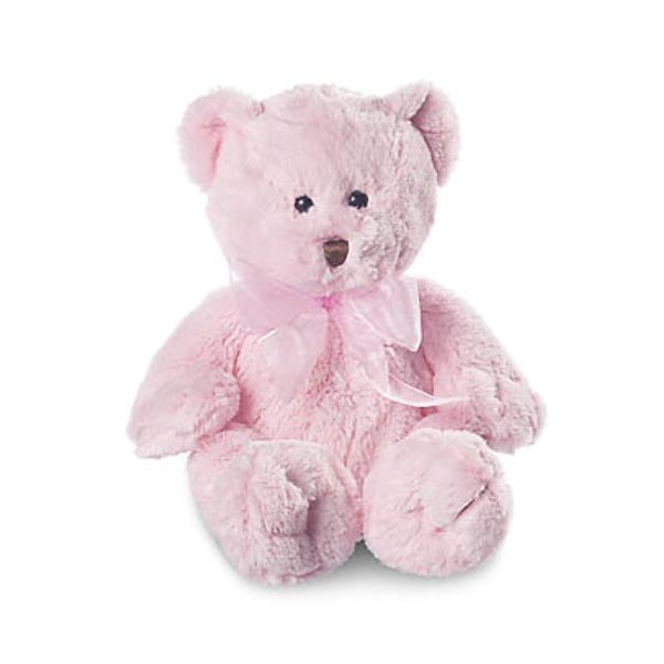 Pink Teddy Bear