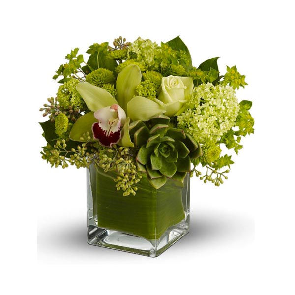 The Rainforest Bouquet
