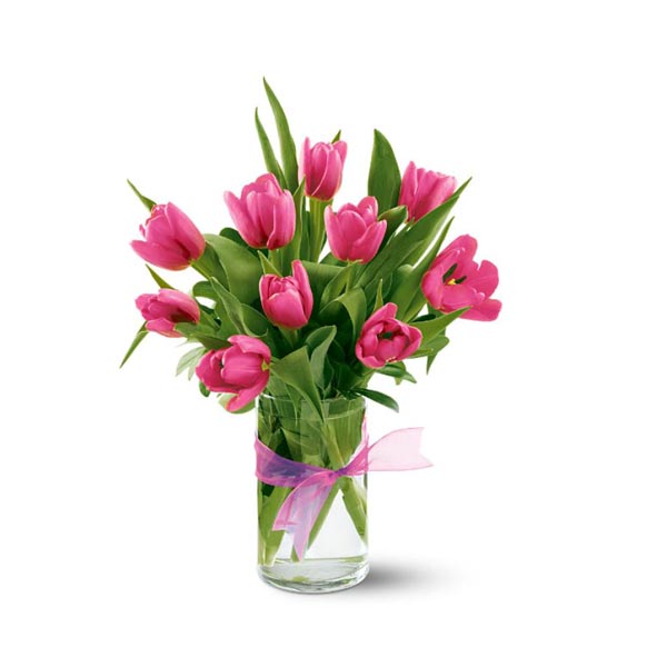 Spring Tulips - Hot Pink